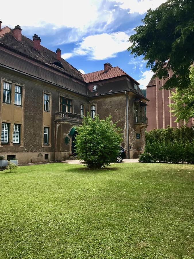 Apartment Im Grunen Leoben  Exteriér fotografie